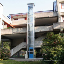 Villa personal que levanta la casa residencial Home Pasajero Antique Elevators